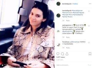 Kendall Jenner watching basketball