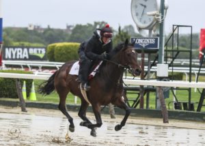 how to bet the belmont stakes online in pa