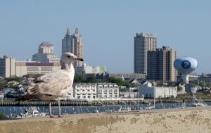 NJ online gambling vs Atlantic City Casinos