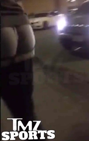 Voila_Capture 2015-12-02_11-56-35_AM