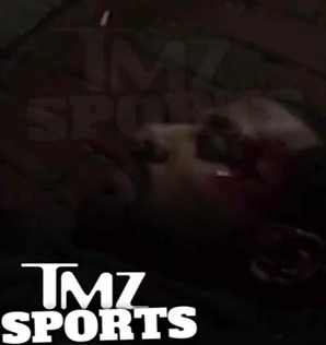 Voila_Capture 2015-12-02_12-17-58_PM