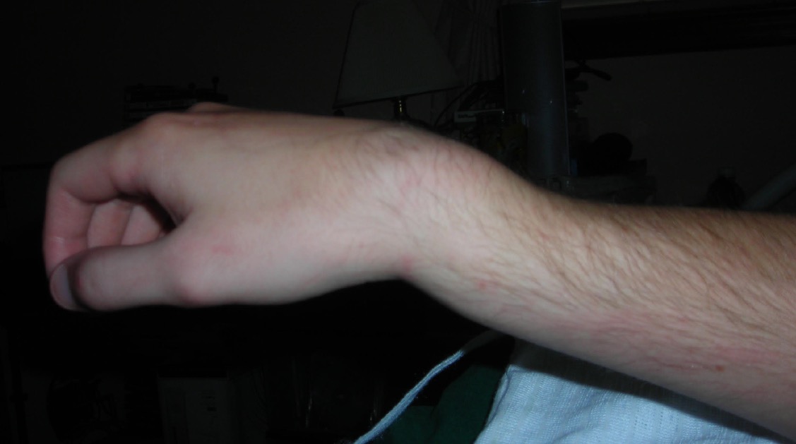 Voila_Capture 2016-02-17_10-34-27_AM