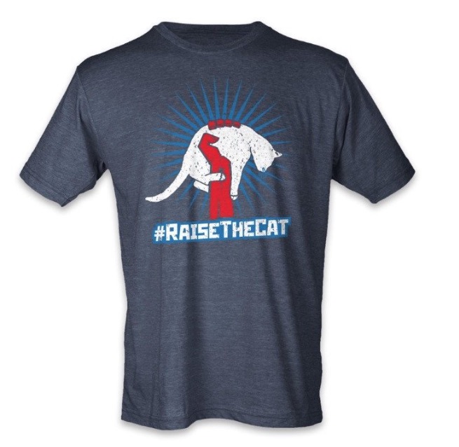 Voila_Capture 2017-02-16_03-42-01_PM