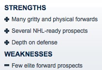 Voila_Capture 2017-03-20_01-03-50_PM