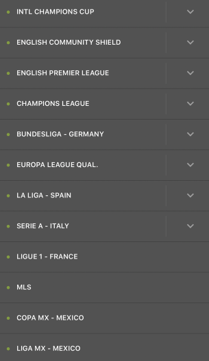 draftkings sportsbook soccer